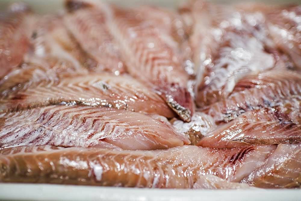 Fresh filleted fish on a fish market stall