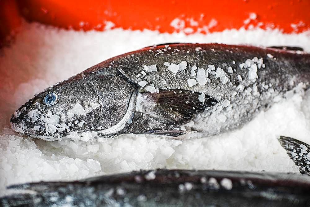 Two fresh fish on a fish market stall on ice