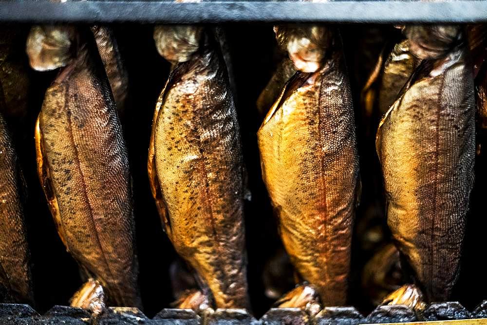 Close up of rows of freshly smoked whole trout in a smoker