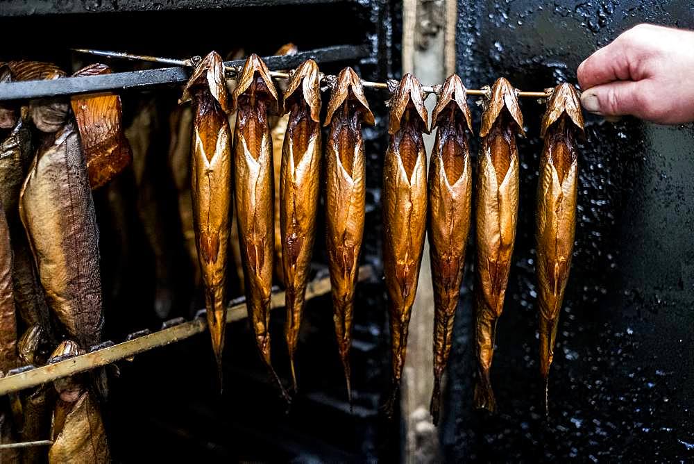 Close up of person removing rod with freshly smoked whole trout from a smoker