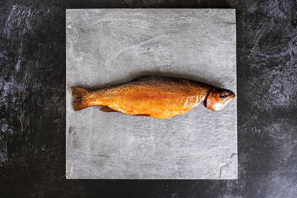 High angle close up of one freshly smoked whole trout on grey background