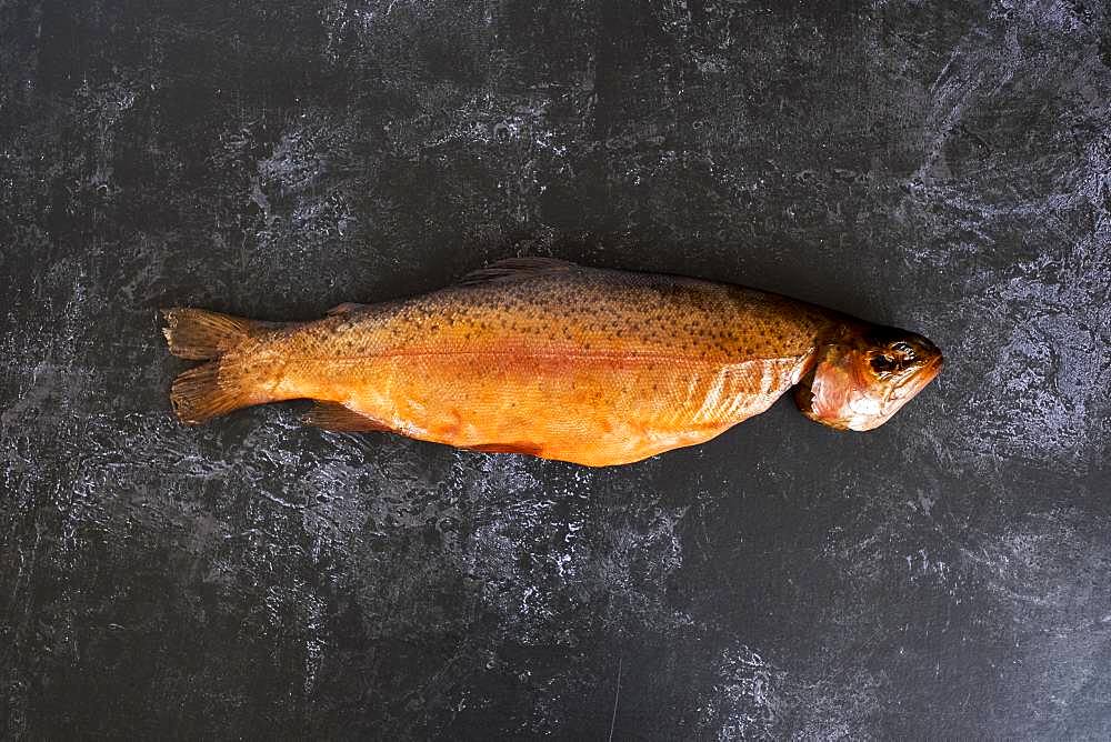 High angle close up of one freshly smoked whole trout on black slate