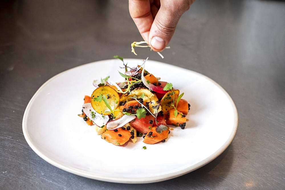 High angle close up of person garnishing plate of salad with some herbs