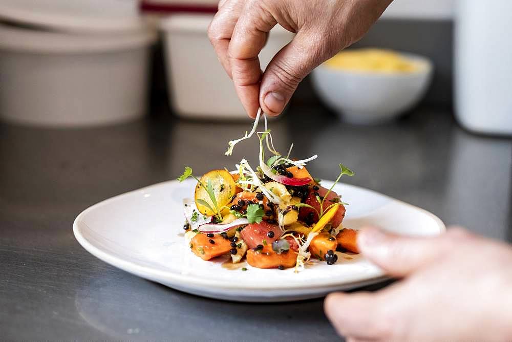 Close up of person garnishing plate of salad with some herbs