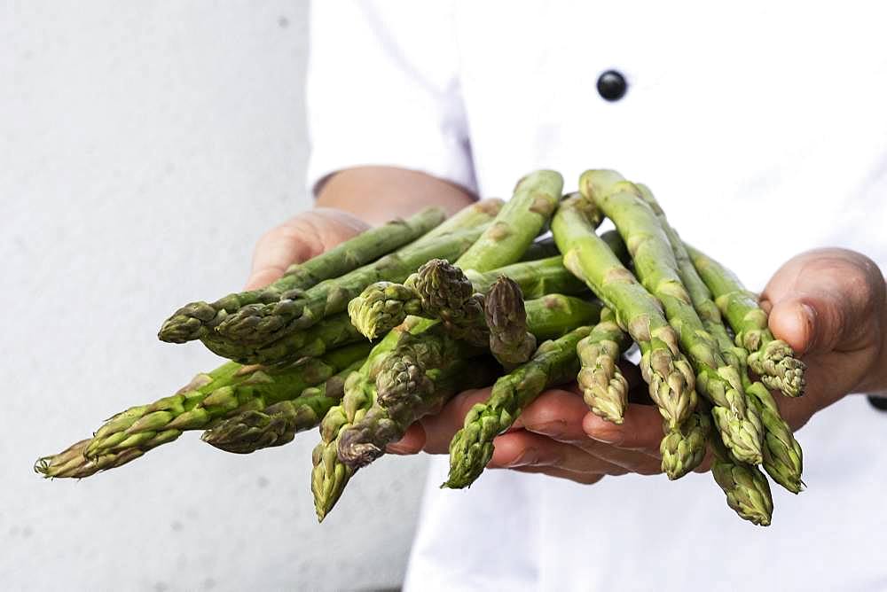 Close up of chef holding a bunch of green asparagus