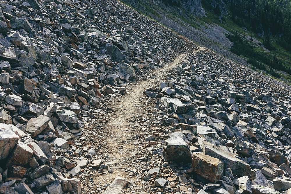 The Pacific Crest Trail near Hart's Pass in the Pasayten Wilderness, Okanogan-Wenatchee National Forest, about 35 miles from the Canadian border in the North Cascades in Washington