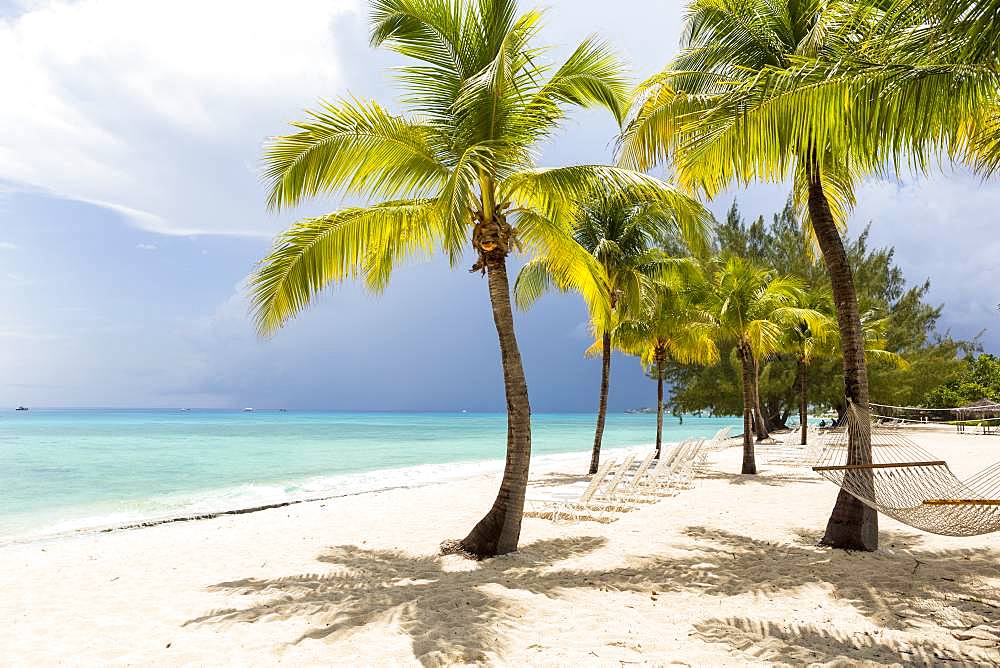 A white sand beach, turquoise sea and palm trees, Grand Cayman, Cayman Islands