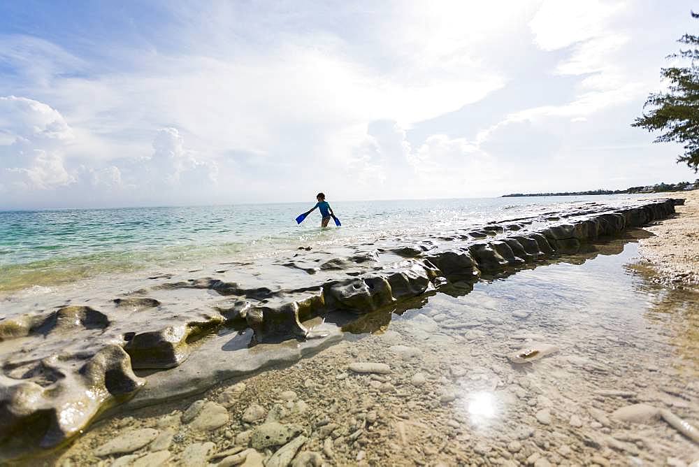 5 year old boy walking on rocks on the shore with swimming fins, Grand Cayman, Cayman Islands