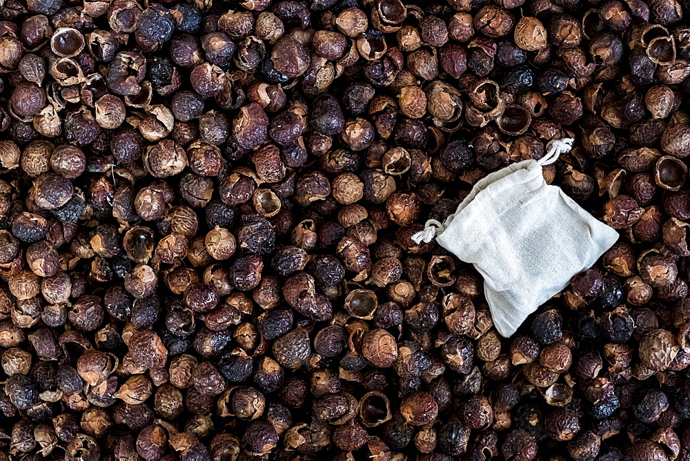 High angle close up of dried brown soap nuts