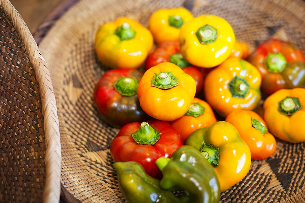 High angle close up of a selection of fresh red and yellow peppers in a farm shop, Kyushu, Japan