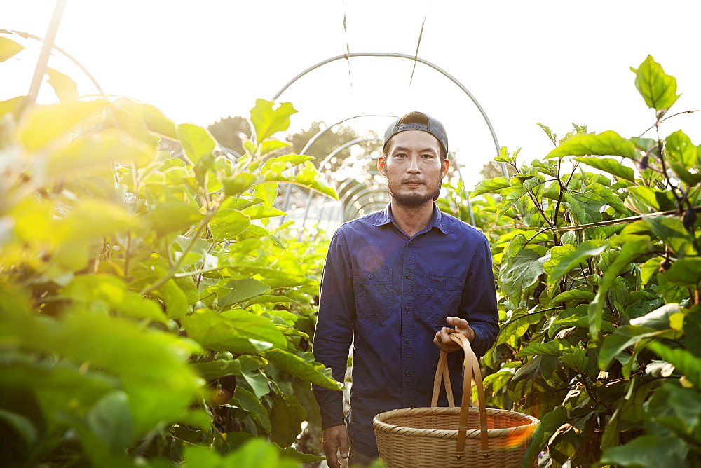 Japanese man wearing cap standing in vegetable field, holding basket, looking at camera, Kyushu, Japan