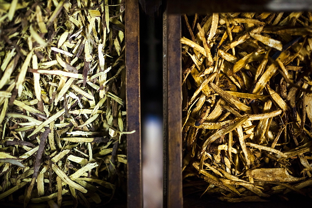 High angle close up of different types of dried roots, used in traditional herbal medicines in cabinets at a family-run pharmacy, Vietnam