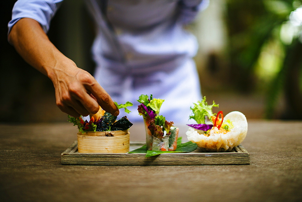 Close up of chef putting the final touches on a dish of salads and spring rolls, Vietnam