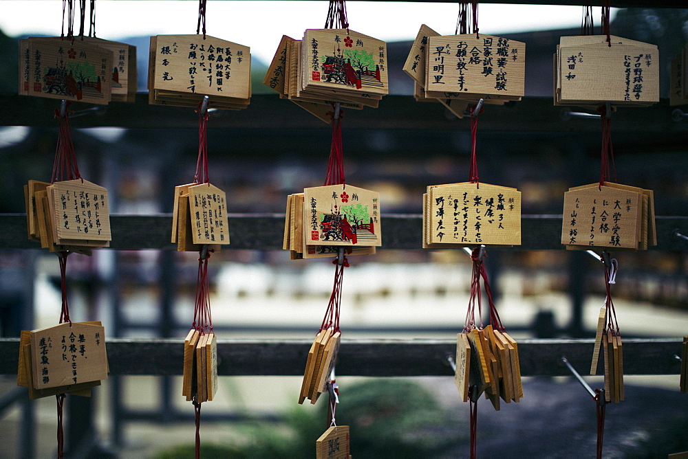 Close up of wooden tablets with messages written in Japanese at a shrine, Kyushu, Japan