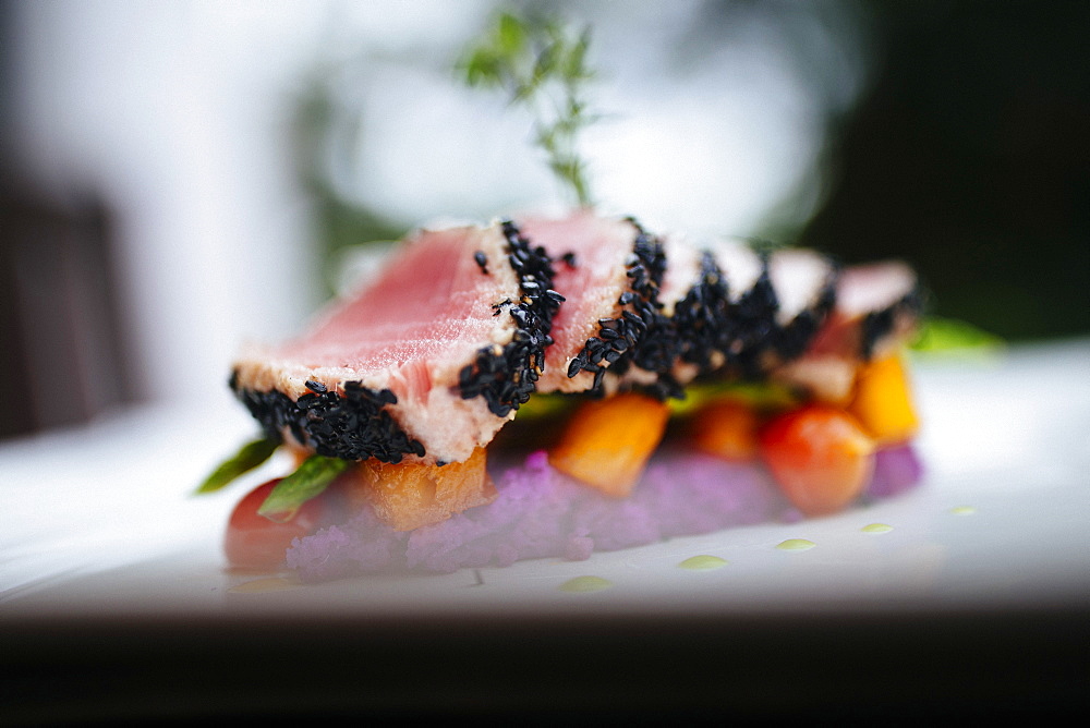 Close up of sesame crusted tuna on a plate, Vietnam