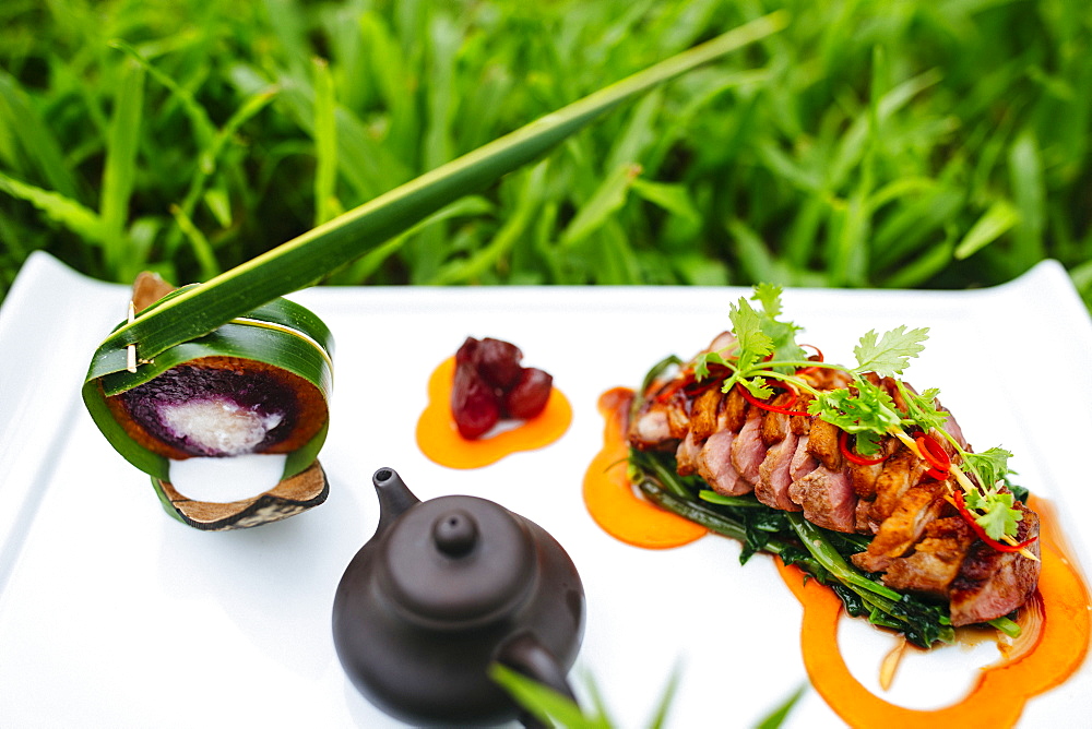 High angle close up of seared duck breast with coconut sticky rice, Vietnam