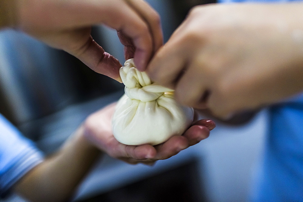 High angle close up of cheese-making, cream and curds are tied into burrata purses, Vietnam