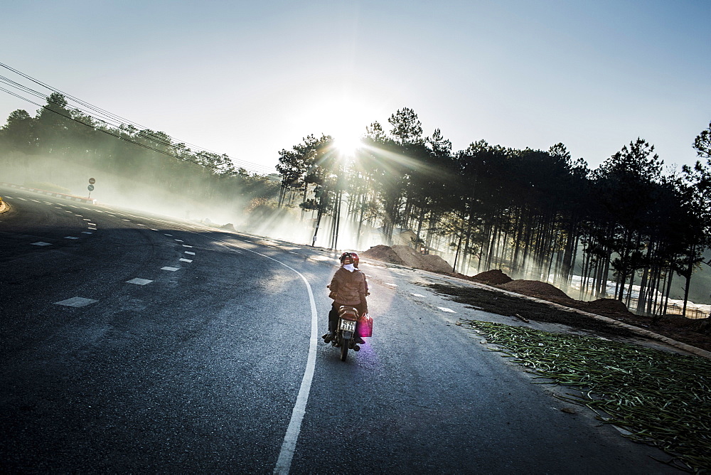 Rear view of motorbike driving along a highway through forests, Vietnam