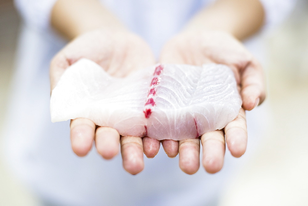 High angle close up of hands holding fresh fillet of white fish, Barramundi, Asian Sea Bass, Vietnam