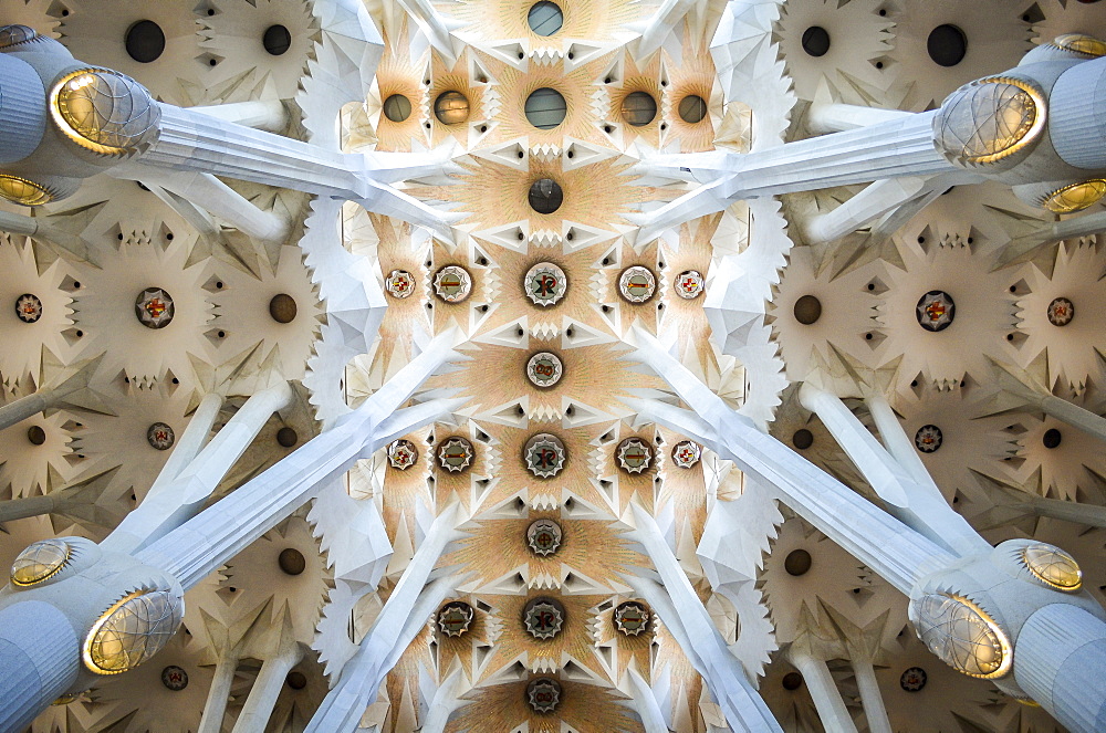 Low angle interior view of vaulting, Sagrada Familia, Barcelona, Catalonia, Spain