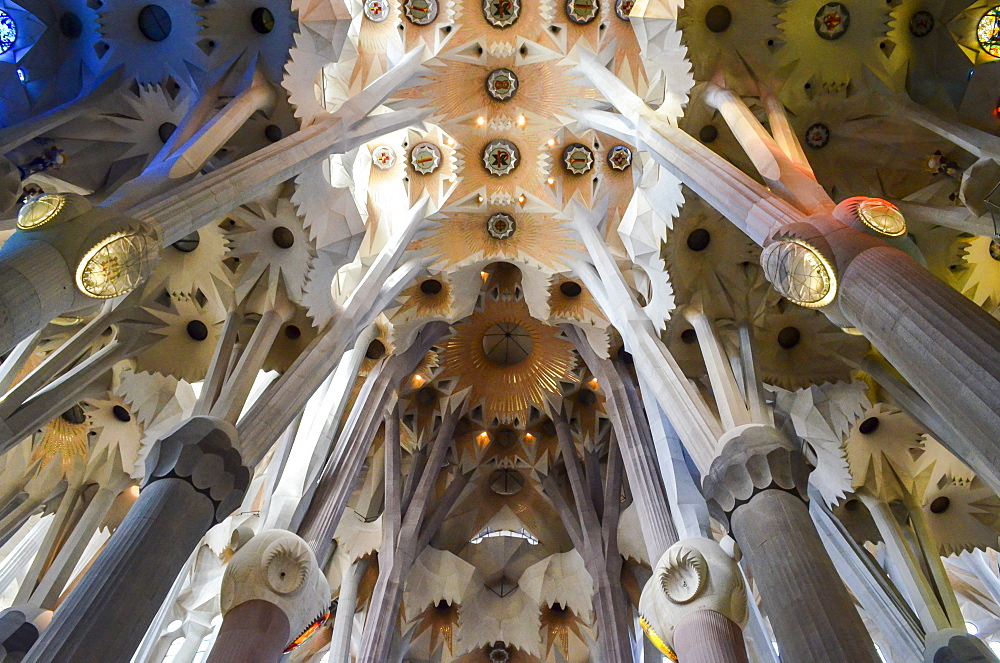 Low angle interior view of vaulting, Sagrada Familia, Barcelona, Catalonia, Spain