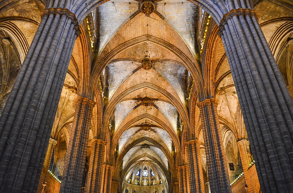 Low angle interior view of vaulting, Cathedral of the Holy Cross and Saint Eulalia, Barcelona, Catalonia, Spain