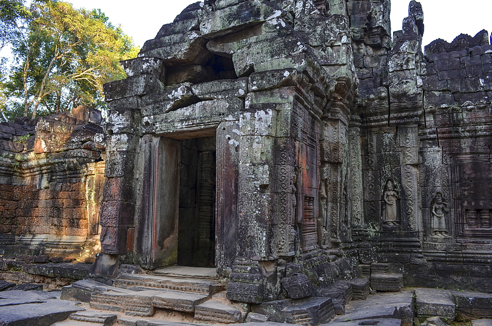 Ankor Wat, a 12th century historic Khmer temple and UNESCO world heritage site. Arches and carved stone with large roots spreading across the stonework, Angkor Wat, Cambodia