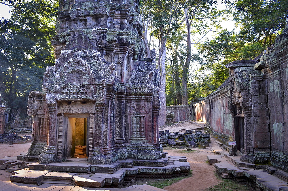 Ankor Wat, a 12th century historic Khmer temple and UNESCO world heritage site. Arches and carved stone with large roots spreading across the stonework, Angkor Wat, Cambodia