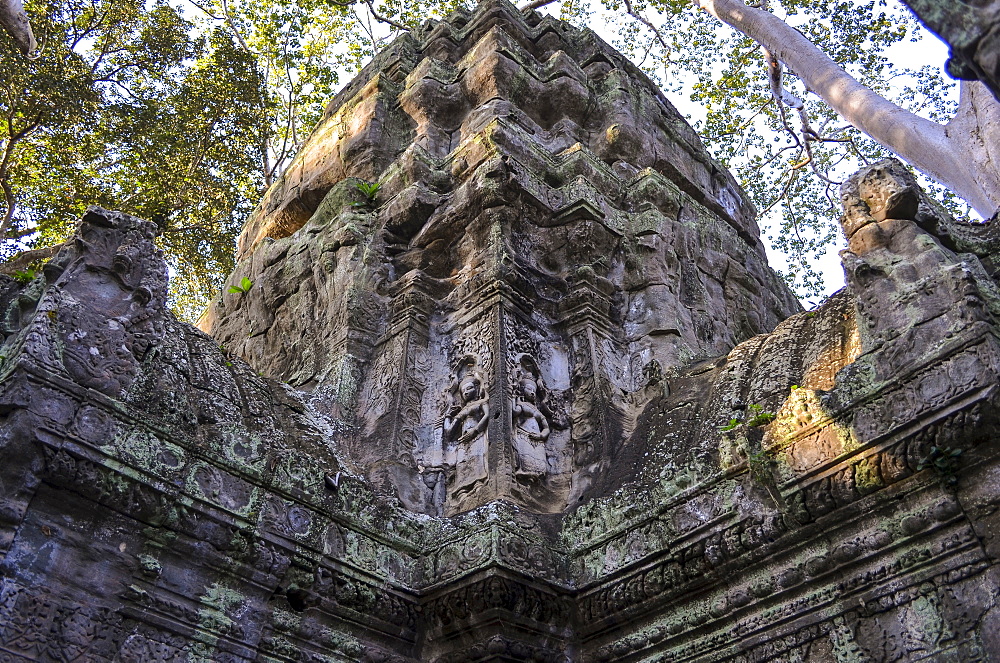 Ankor Wat, a 12th century historic Khmer temple and UNESCO world heritage site. Arches and carved stone with large roots spreading across the stonework, Angkor Wat, Cambodia