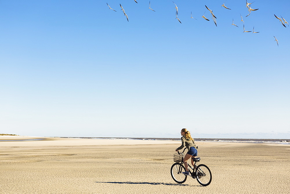 A teenage girl cycling on sand towards a flock of seagulls, St Simon's Island, Georgia, United States