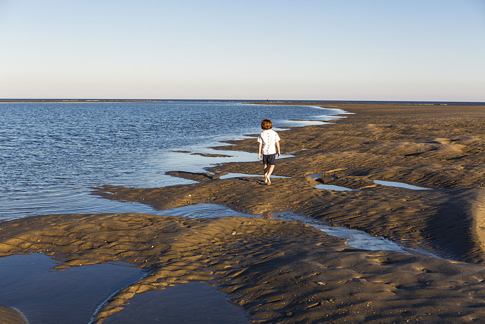 A six year old boy investigating sandy landscape, St Simon's Island, Georgia, United States