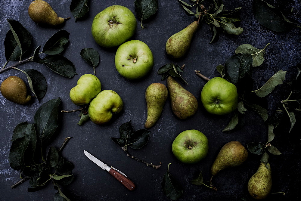 High angle close up of green pears and Bramley apples on black background, United Kingdom