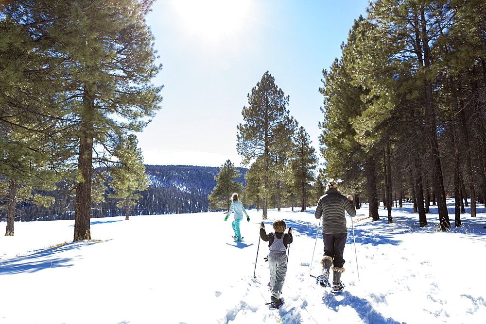 Rear view of a mother and her children, a teenage girl and young boy, snow shoeing