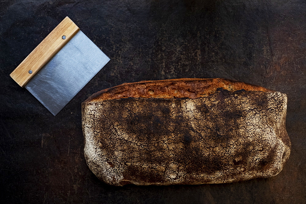 Close up of freshly baked loaf of bread in an artisan bakery.