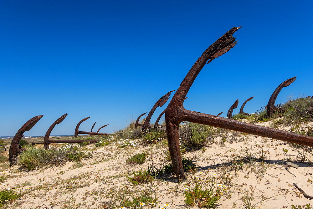 Ilha de Tavira with anchor cemetary on Praia do Barril beach, with many rusting anchors in the sand. Eatern Algarve, Portugal