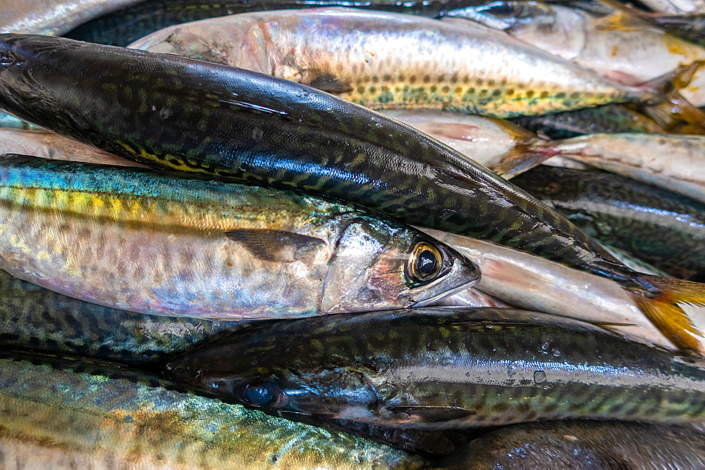 Fresh sardines in fish market, Algarve, Portugal