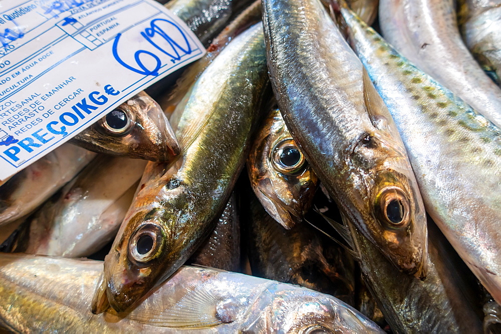 Fresh sardines in fish market, Algarve, Portugal