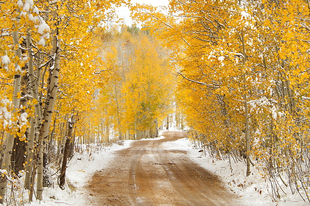 A road in the Uinta Mountains, with light snow on the ground, Uinta Mountains, Utah, USA