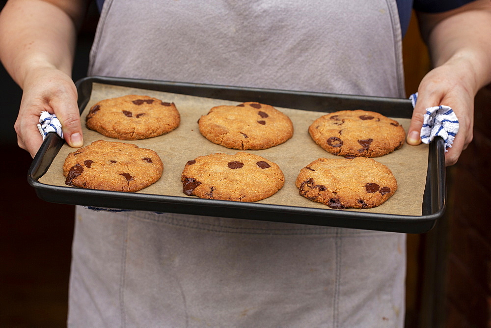 Close up of person holding baking tray with freshly baked chocolate chip cookies