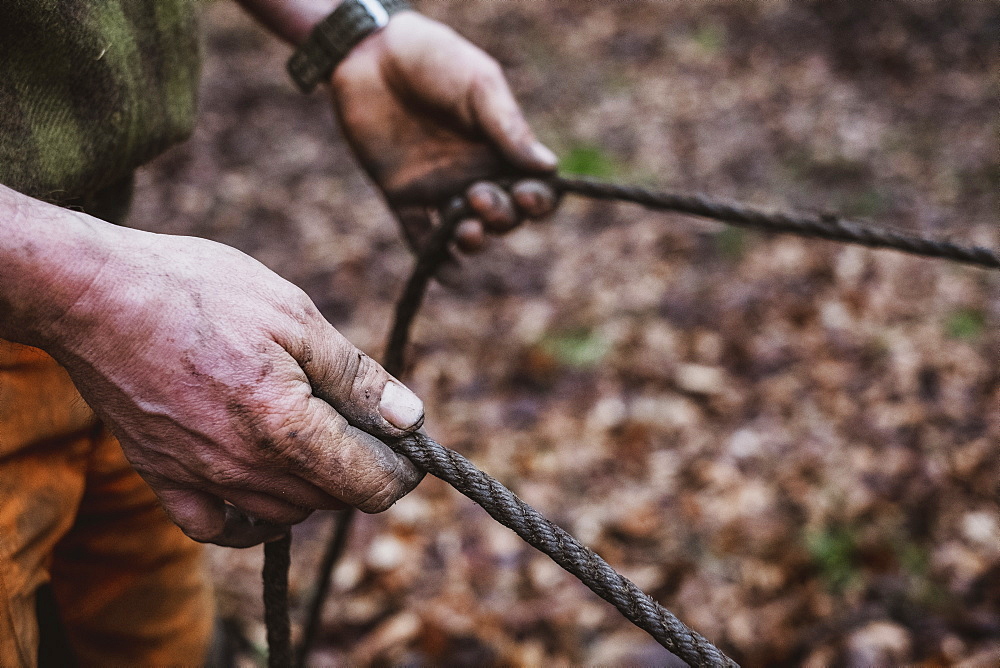 High angle close up of man holding reins of a work horse in a forest, Devon, United Kingdom