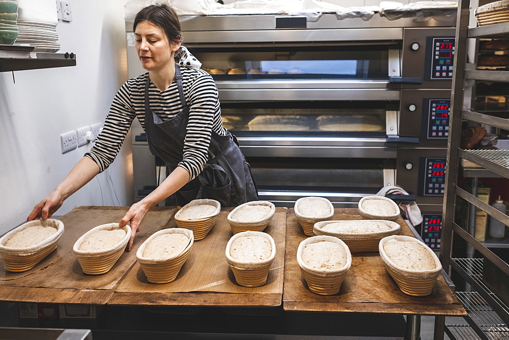 A baker checking proving baskets with risen dough before baking, artisan bakery making sourdough bread