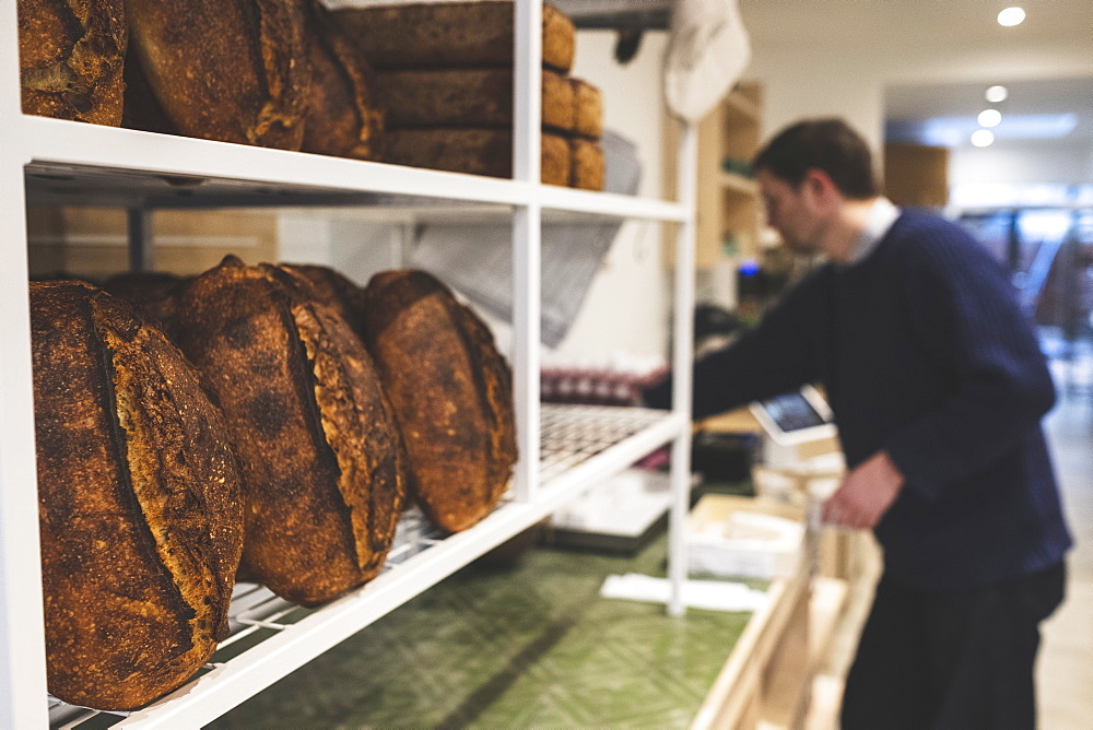 Artisan bakery making special sourdough bread, racks of cooked loaves