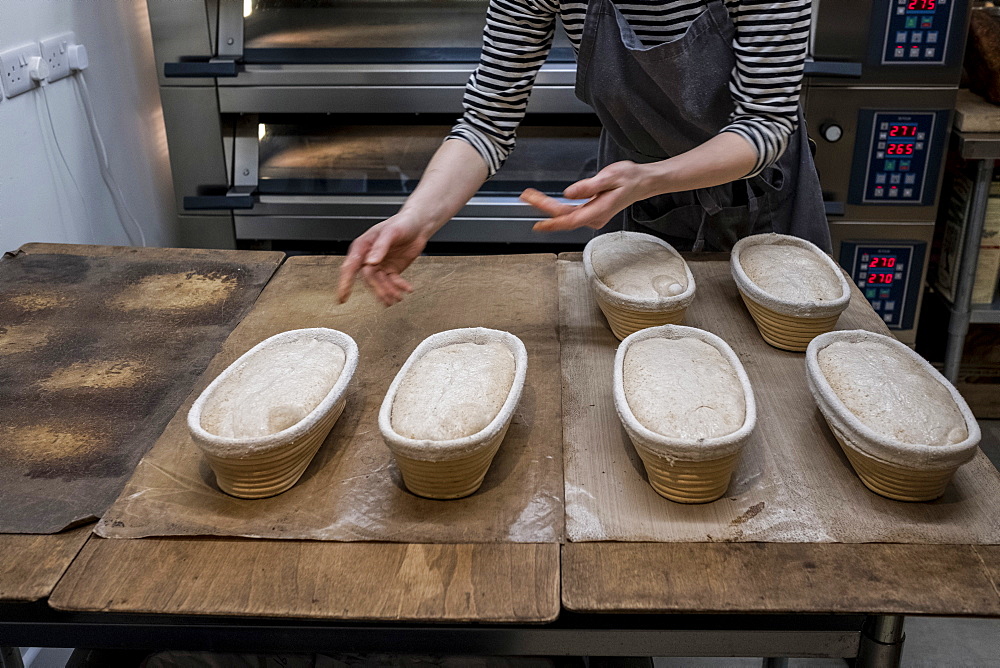 Artisan bakery making special sourdough bread, a rack of proving baskets full of rising dough