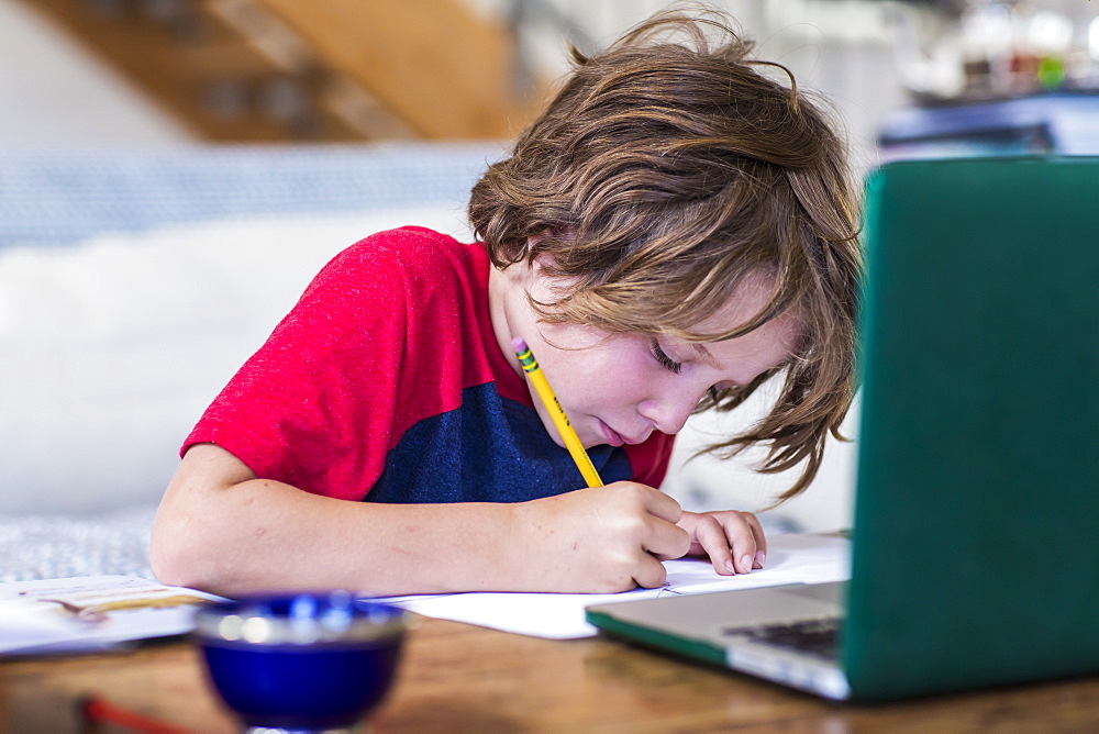 6 year old boy using laptop for remote schooling at home