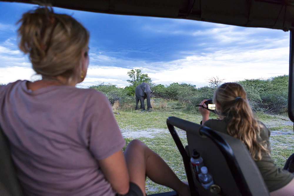 Two people in a safari jeep, a woman and a teenage girl using a video camera taking footage of a mature elephant, Moremi Game Reserve, Botswana