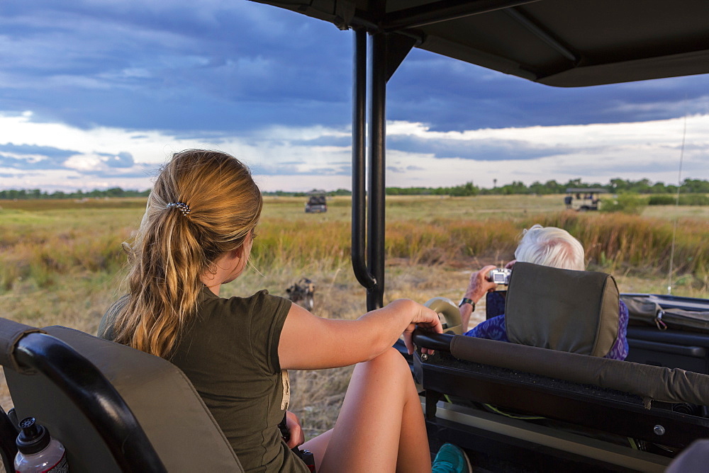 A teenage girl and senior man seated in a safari jeep observing a pack of wild dogs, Moremi Game Reserve, Botswana