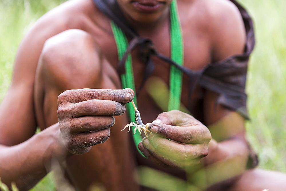 close up of Bushman holding scorpion, Botswana