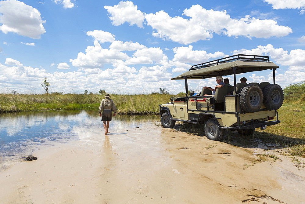 A safari vehicle with passengers, and a guide walking across sand, Okavango Delta, Botswana