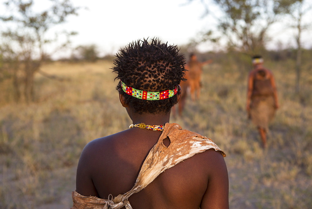 Rear view of a San Bushman, head and shoulders