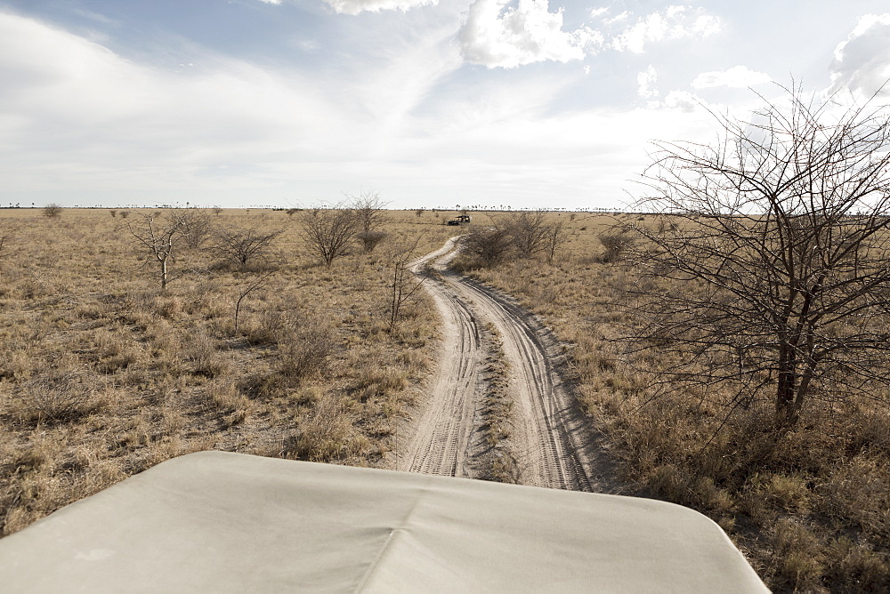 A safari vehicle on a road snaking across the landscape